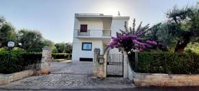 Dragonfly b&b Castellana Grotte